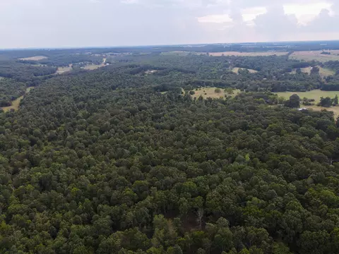 Tract 2 Co Rd 347, Koshkonong, MO 65692