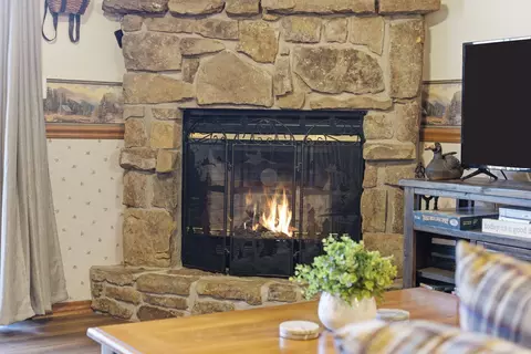 Living - 24 Village Trl #13-2, Branson, MO 65616 photo 3 of 6