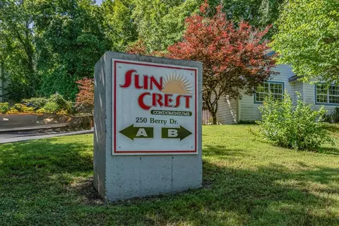 Other - 250 Berry Dr #A7, Branson, MO 65616 photo 6 of 11