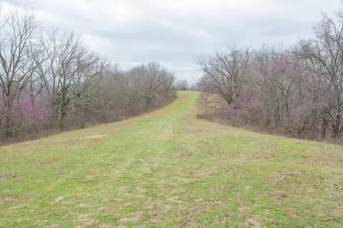 9010 Stallion Bluff Rd, Shell Knob, MO 65747 photo 22