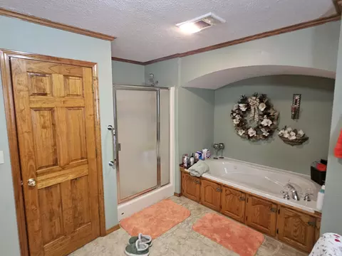 202 W Santee St, Wheaton, MO 64874 photo 21