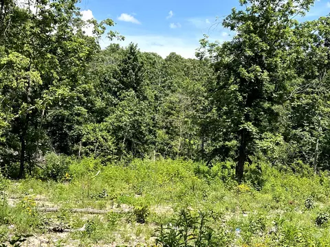 lot45 Private Road Ridge Hvn, Mammoth Spring, AR 72554