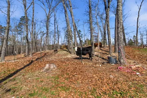 Exterior - 1404 County Road 154, Brixey, MO 65618 photo 5 of 5