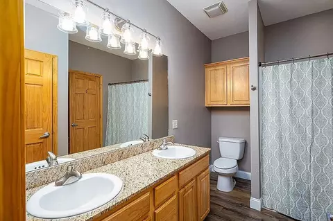 Bath - 80 Celebration Cove Cir, Branson, MO 65616 photo 5 of 5