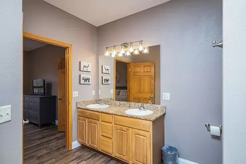 Bath - 80 Celebration Cove Cir, Branson, MO 65616 photo 3 of 5