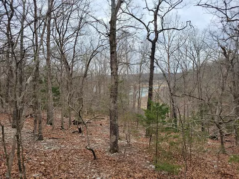 000 Lost Mine Rd, Theodosia, MO 65761