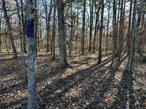 000 Highway H, Ellsinor, MO 63937