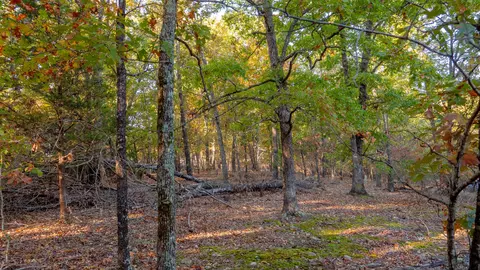 000 Lakeview Dr #LOT 38, Protem, MO 65733 photo 48