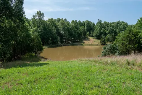 000 Lakeview Dr #LOT 38, Protem, MO 65733 photo 14