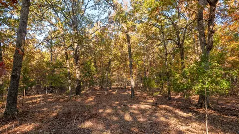 000 Lakeview Dr #LOT 38, Protem, MO 65733 photo 54