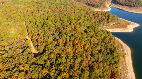 000 Lakeview Dr #LOT 38, Protem, MO 65733 photo 35