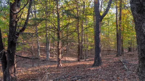 000 Lakeview Dr #LOT 38, Protem, MO 65733 photo 52