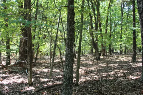 000 Lakeview Dr #LOT 38, Protem, MO 65733 photo 15