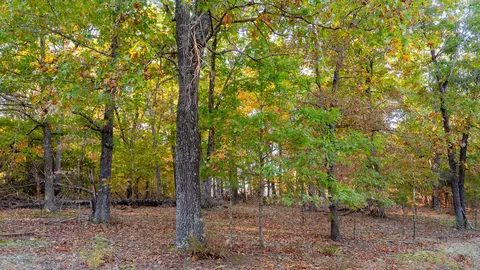 000 Lakeview Dr #LOT 38, Protem, MO 65733 photo 50