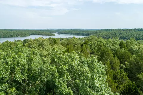 000 Lakeview Dr #LOT 38, Protem, MO 65733 photo 11