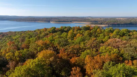 000 Lakeview Dr #LOT 38, Protem, MO 65733 photo 36
