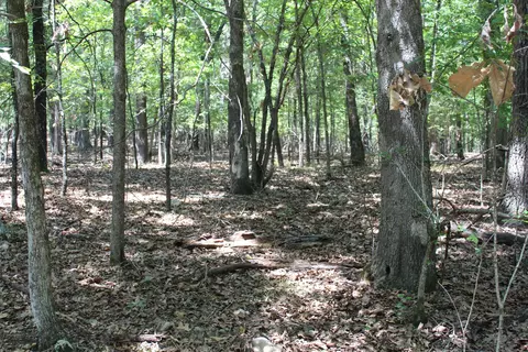 000 Lakeview Dr #LOT 38, Protem, MO 65733 photo 17