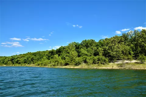 000 Lakeview Dr #LOT 38, Protem, MO 65733 photo 7