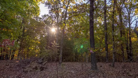 000 Lakeview Dr #LOT 38, Protem, MO 65733 photo 47