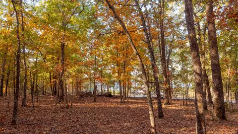 000 Lakeview Dr #LOT 38, Protem, MO 65733 photo 58