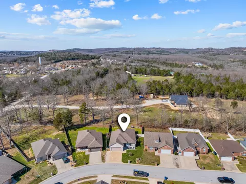 View/Area - 217 Redwine Ave, Branson, MO 65616 photo 1 of 3