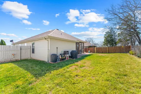Exterior - 217 Redwine Ave, Branson, MO 65616 photo 5 of 6