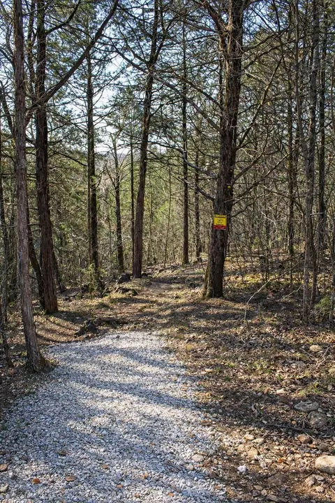 000 Dry Run Rd, Shell Knob, MO 65747 photo 4
