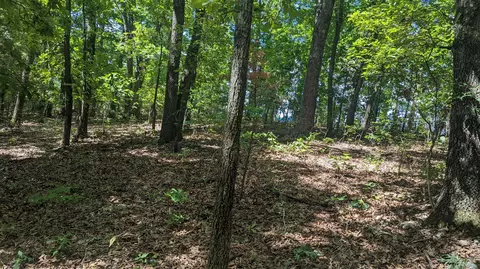 5148 Mo-173, Cape Fair, MO 65624