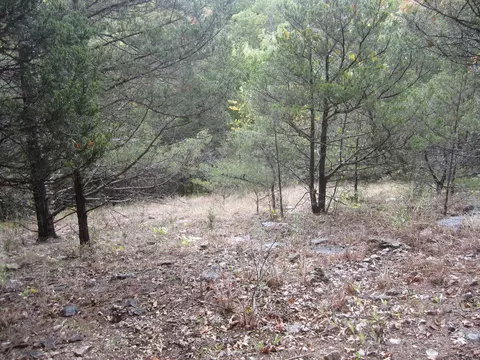 000 Map Ln, Branson, MO 65616 photo 21