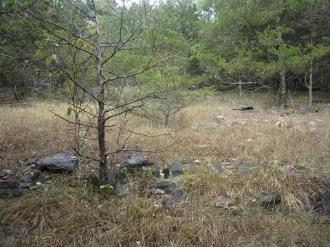 000 Map Ln, Branson, MO 65616 photo 19