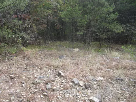 000 Map Ln, Branson, MO 65616 photo 20