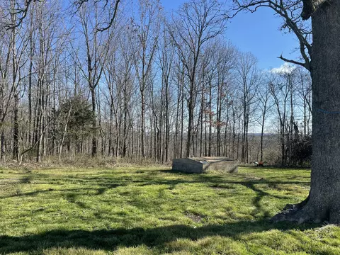 Exterior - 22094 State Highway P, Ava, MO 65608 photo 3 of 12