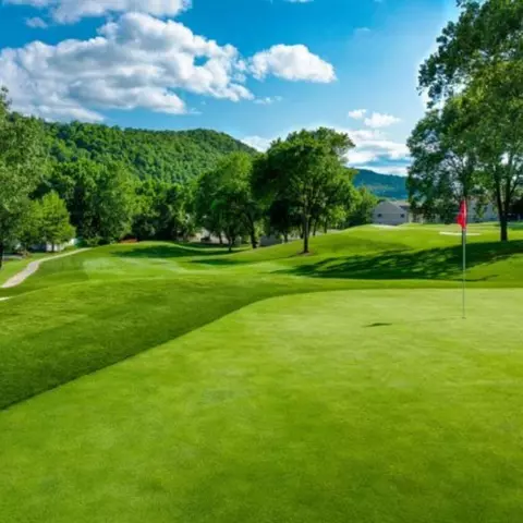 Other - 123 Bunker Ridge Dr #4, Branson, MO 65616 photo 6 of 8
