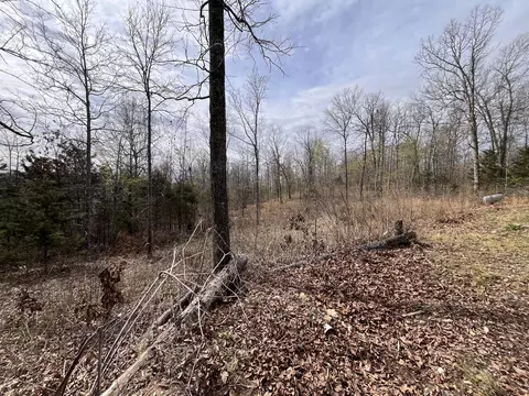 1170 County Road 255, Thayer, MO 65791 photo 47