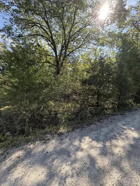 lot1 Daisy Ln, Lampe, MO 65681 photo 2
