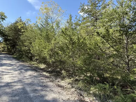 lot23 Daisy Ln, Lampe, MO 65681