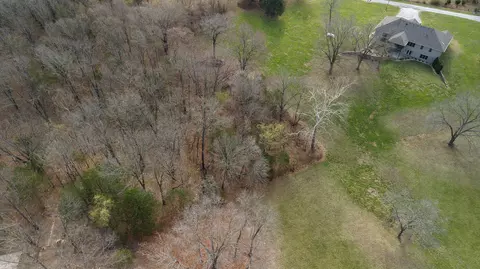 View/Area - 332 Mint Ln, Ozark, MO 65721 photo 8 of 9