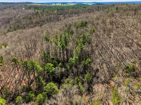 000 County Road 158, Gainesville, MO 65655 photo 26