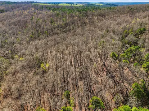 000 County Road 158, Gainesville, MO 65655 photo 24
