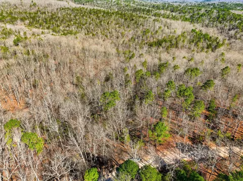 000 County Road 158, Gainesville, MO 65655 photo 2