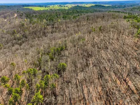 000 County Road 158, Gainesville, MO 65655 photo 22