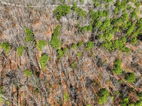 000 County Road 158, Gainesville, MO 65655 photo 31