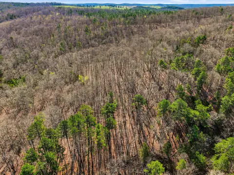 000 County Road 158, Gainesville, MO 65655 photo 25