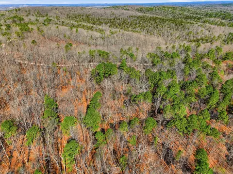 000 County Road 158, Gainesville, MO 65655 photo 30