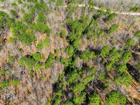 000 County Road 158, Gainesville, MO 65655 photo 33