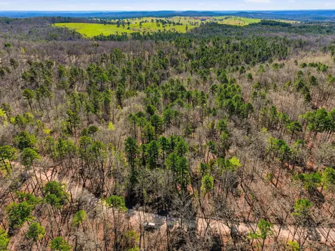 000 County Road 158, Gainesville, MO 65655 photo 12
