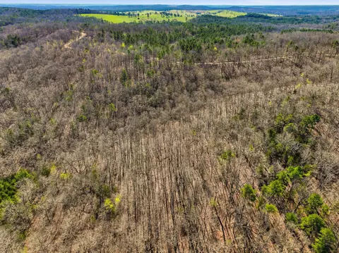 000 County Road 158, Gainesville, MO 65655 photo 23