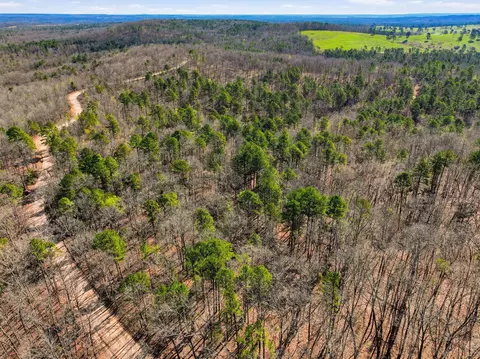 000 County Road 158, Gainesville, MO 65655 photo 9