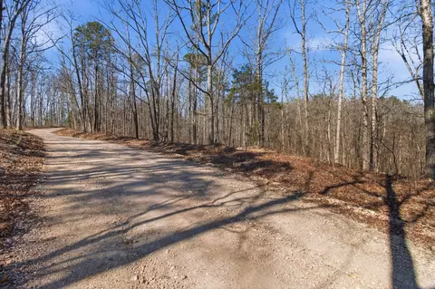000 County Road 158, Gainesville, MO 65655 photo 36