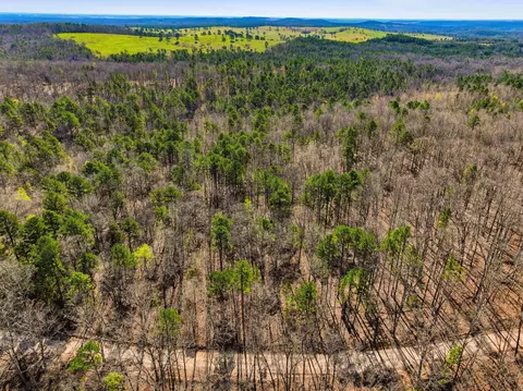 000 County Road 158, Gainesville, MO 65655 photo 11